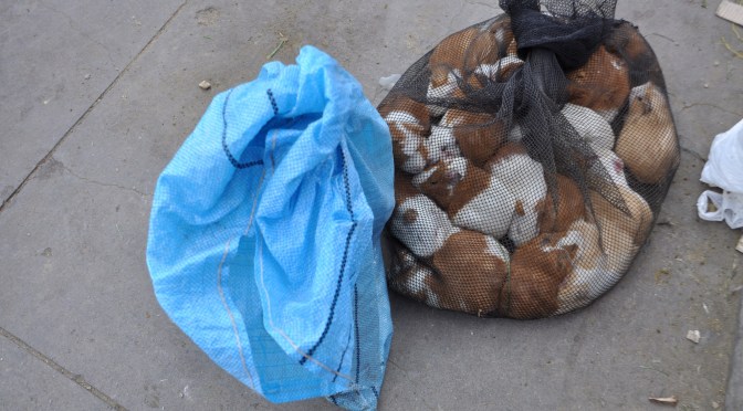 Lehm, Gesteine und Eis