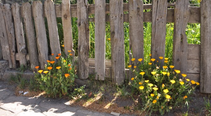 Bergen, Schoggi und Gletscher